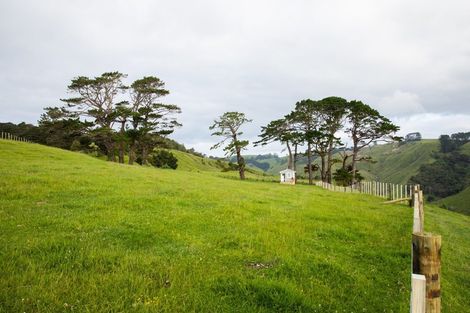 Photo of property in 307 Dill Road, Kaipara Flats, Warkworth, 0984