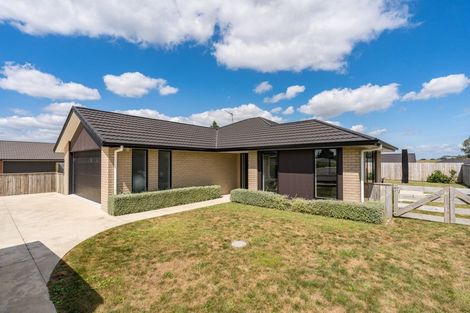 Photo of property in 87 Whitmore Street, Kihikihi, Te Awamutu, 3800