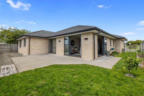 Photo of property in 55 Goodwin Crescent, Pyes Pa, Tauranga, 3112