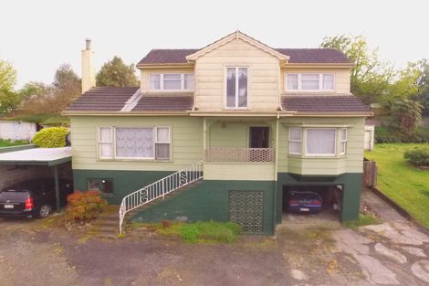 Photo of property in 113 Arapuni Street, Putaruru, 3411
