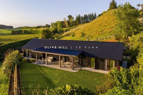 Photo of property in 177c Crawford Road, Minden, Tauranga, 3171