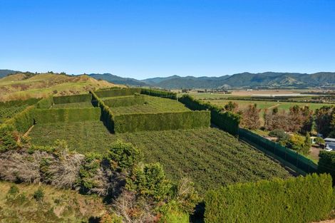 Photo of property in 31 Clark Cross Road, Otara, Opotiki, 3197