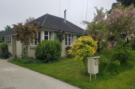 Photo of property in 43 Joy Street, Shirley, Christchurch, 8061