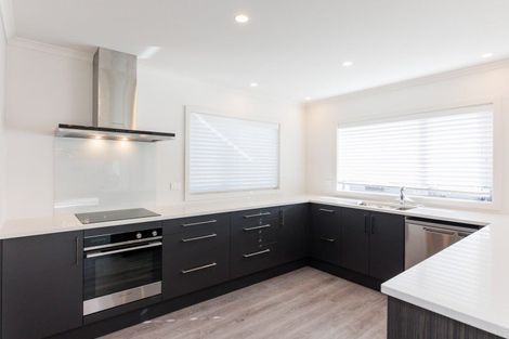 Photo of property in 14b Knowles Street, Terrace End, Palmerston North, 4410