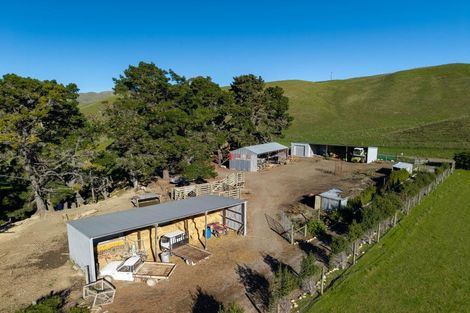 Photo of property in 453 Tetley Brook Road, Seddon, 7285