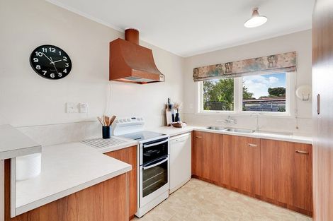 Photo of property in 19 Scott Avenue, Hamilton East, Hamilton, 3216