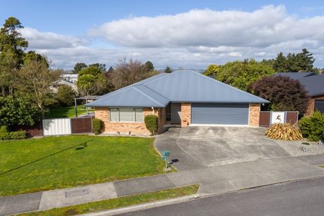 Photo of property in 3 Gimson Street, Solway, Masterton, 5810