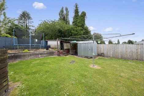 Photo of property in 171 Papanui Street, Tokoroa, 3420