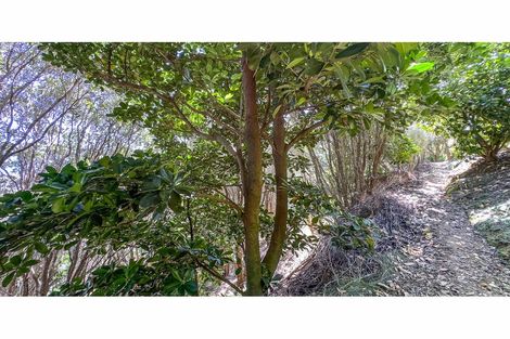 Photo of property in 78b Bennett Road, Te Mata, Thames, 3575
