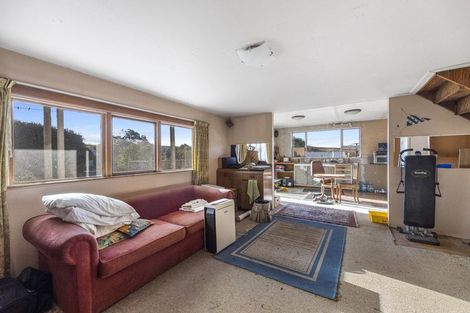 Photo of property in 13 Moss Street, Portobello, Dunedin, 9014