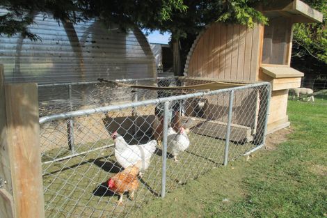 Photo of property in 304 Downs Road, Geraldine Downs, Geraldine, 7991