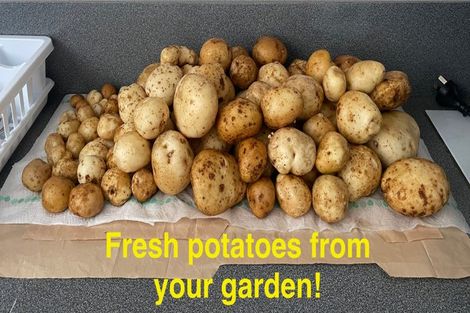 Photo of property in 161 Hautapu Street, Taihape, 4720