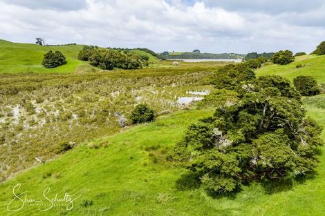 Photo of property in 215c Heatley Road, Whakapirau, 0583