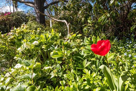 Photo of property in 82 Point Bush Road, Waimate, 7979