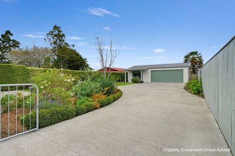 Photo of property in 135 Harrison Street, Whanganui, 4500