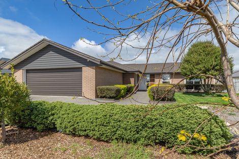 Photo of property in 15 Gladys Place, Levin, 5510