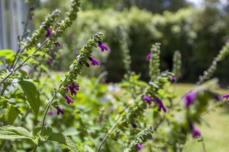Photo of property in 190 Main Road South, Raumati South, Paraparaumu, 5032