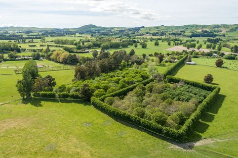 Photo of property in 94 Kahikatea Road, Te Ore Ore, Masterton, 5886