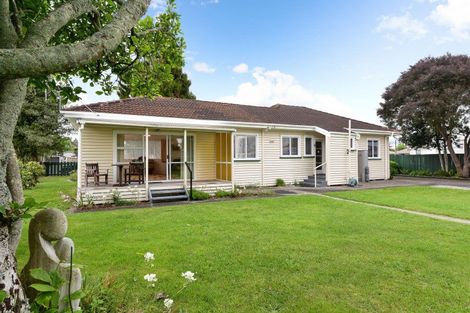 Photo of property in 53 Alfred Street, Fairfield, Hamilton, 3214