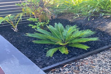 Photo of property in 2 Eveline Street, Mangawhai Heads, Mangawhai, 0505