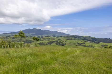 Photo of property in 132 Maungatawhiri Road, Raglan, 3295