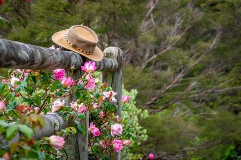 Photo of property in 407 Upper Waingawa Road, Kaituna, Masterton, 5888