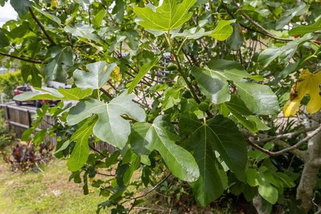 Photo of property in 127 Kimihia Road, Huntly, 3700