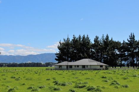 Photo of property in 64 Totaramahonga Road, Dannevirke, 4972