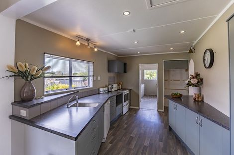 Photo of property in 66 Racecourse Road, Waipukurau, 4200