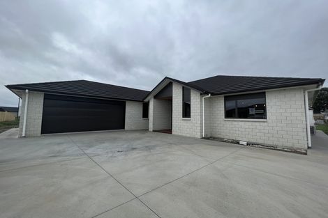 Photo of property in 21 Sydney Place, Flagstaff, Hamilton, 3210