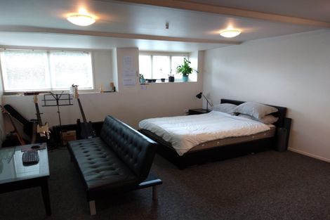 Photo of property in 120 Williamson Avenue, Grey Lynn, Auckland, 1021