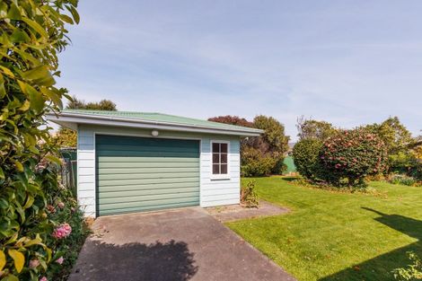 Photo of property in 17 Blenheim Place, Feilding, 4702