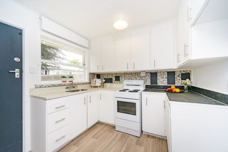 Photo of property in 52 Lancaster Street, Takaro, Palmerston North, 4412