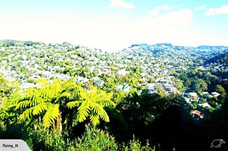 Photo of property in 48 Fox Street, Ngaio, Wellington, 6035