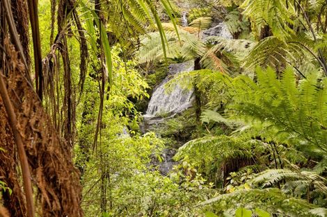 Photo of property in 257f Whakamarama Road, Whakamarama, Tauranga, 3179