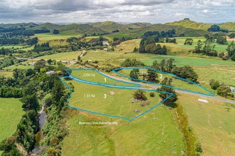 Photo of property in State Highway 2, Eketahuna, 4900