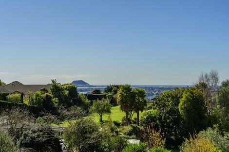 Photo of property in 24 Dawn View Place, Minden, Tauranga, 3176