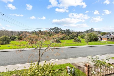 Photo of property in 17 Griffen Park Road, Mount Roskill, Auckland, 1041