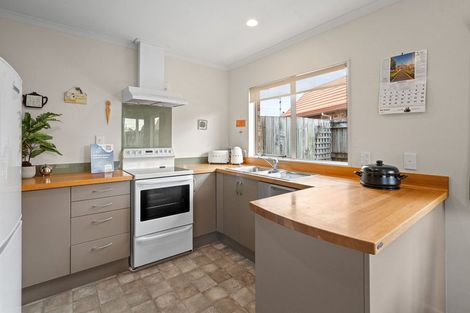 Photo of property in Holdsworth Villas, 56/2 William Donald Drive, Solway, Masterton, 5810