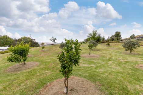 Photo of property in 958 Whangaripo Valley Road, Whangaripo, Wellsford, 0972
