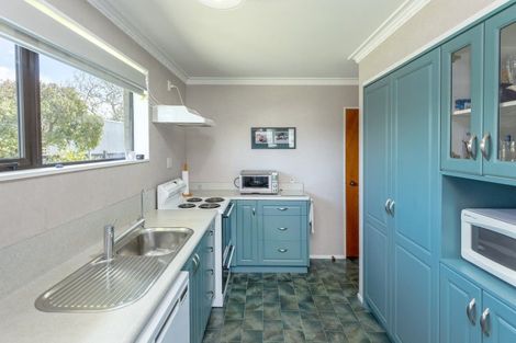 Photo of property in 13 Lowes Place, Solway, Masterton, 5810