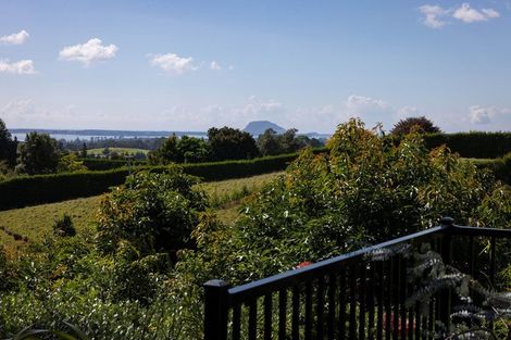 Photo of property in 313 Youngson Road, Whakamarama, Tauranga, 3179