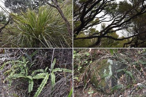 Photo of property in 24 Te Wairoa Lane, Tinopai, 0593