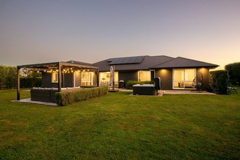 Photo of property in 14 Nikale Street, Cambridge, 3434