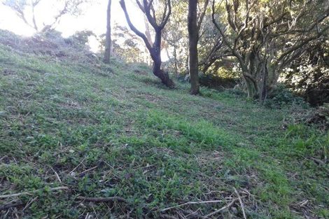 Photo of property in 53 Ngaio Gorge Road, Ngaio, Wellington, 6035