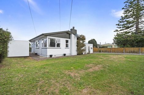 Photo of property in 79 Taumaihi Street, Bulls, 4818