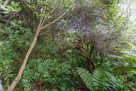 Photo of property in 117b Clarkin Road, Fairfield, Hamilton, 3214