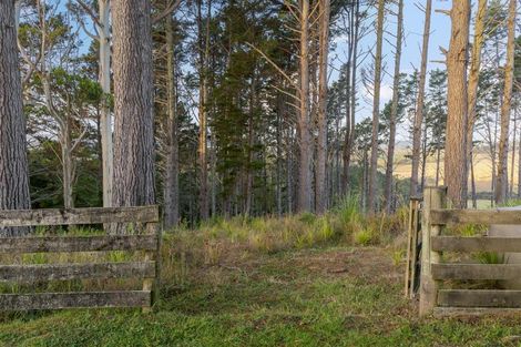 Photo of property in 603 Peak Road, Helensville, 0875