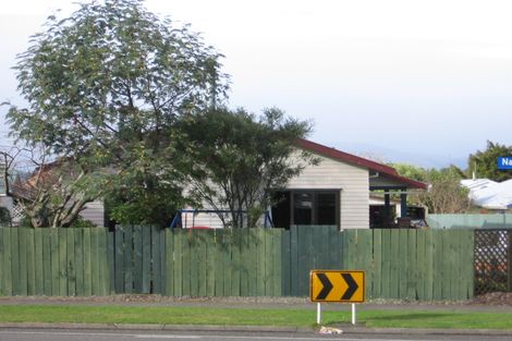 Photo of property in 12 Napier Road, Terrace End, Palmerston North, 4410