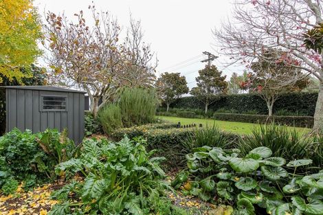 Photo of property in 293a Carrington Street, Vogeltown, New Plymouth, 4310